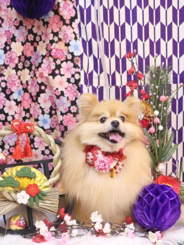 20250123梛都ちゃん